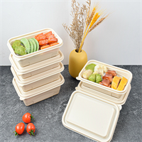 takeaway box from DisposablesInc.com. The best import service in China. Import your disposable items and products from us.